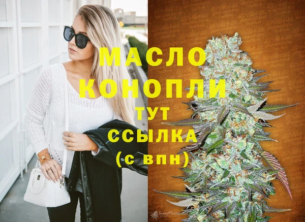 твердый Заводоуковск