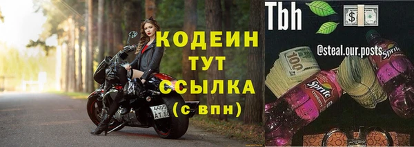 твердый Заводоуковск