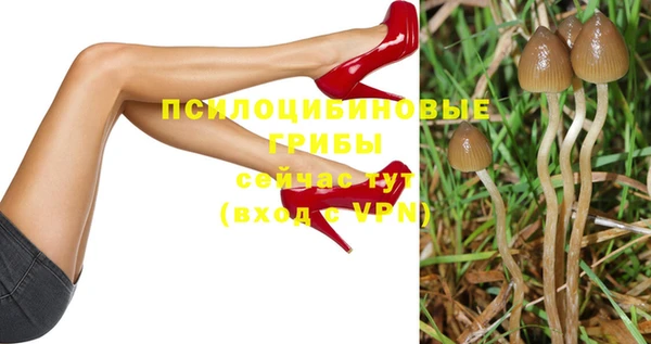 гидропоника Зеленокумск