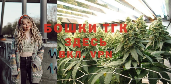 твердый Заводоуковск