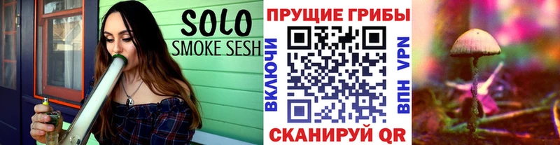 Купить где  Звенигово  Псилоцибиновые грибы Magic Shrooms 